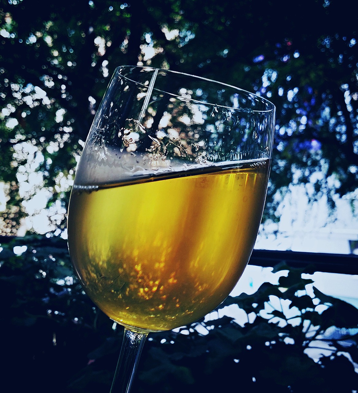 chill wine glass free photo