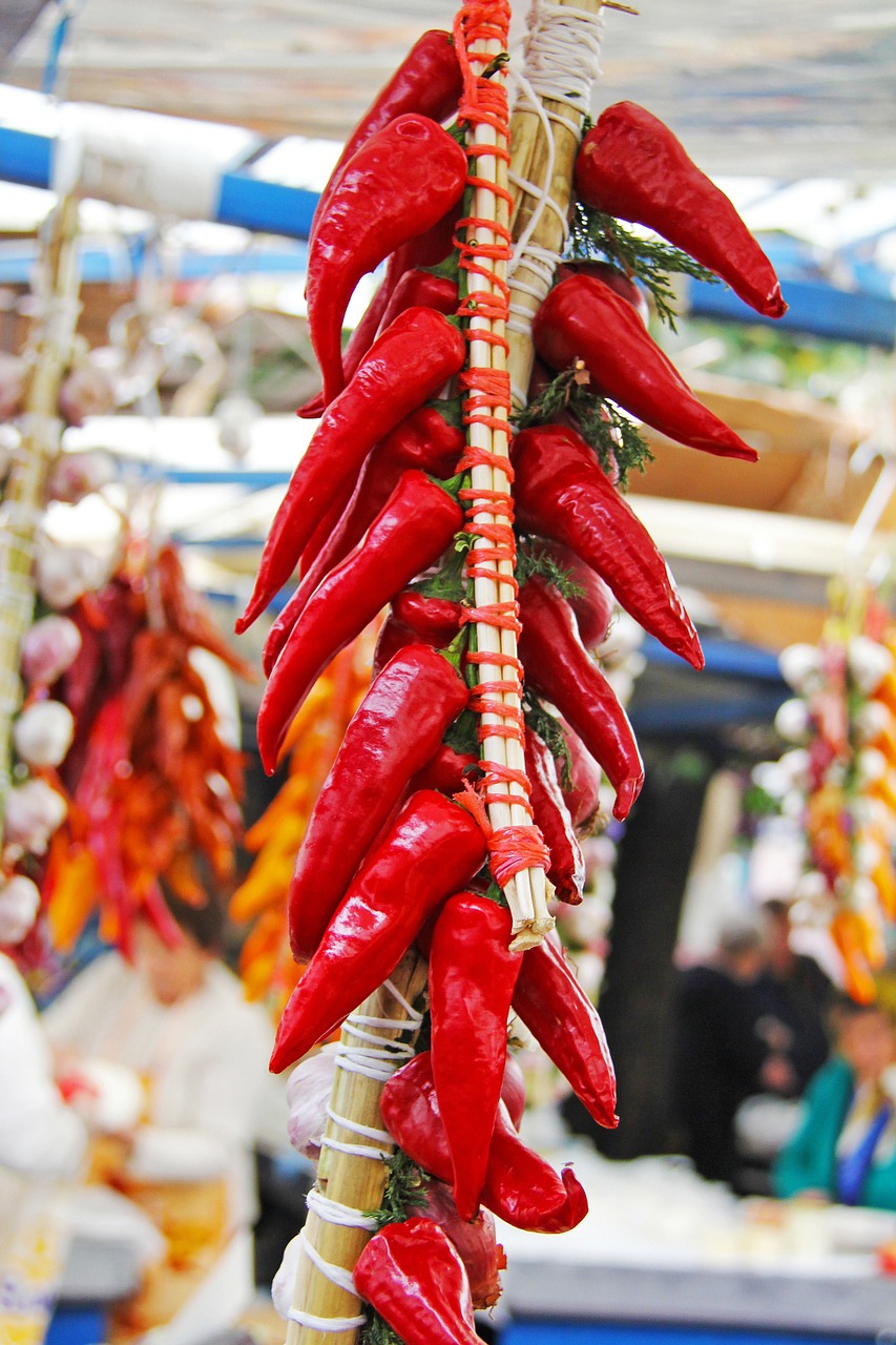 chilli vegetable hot free photo