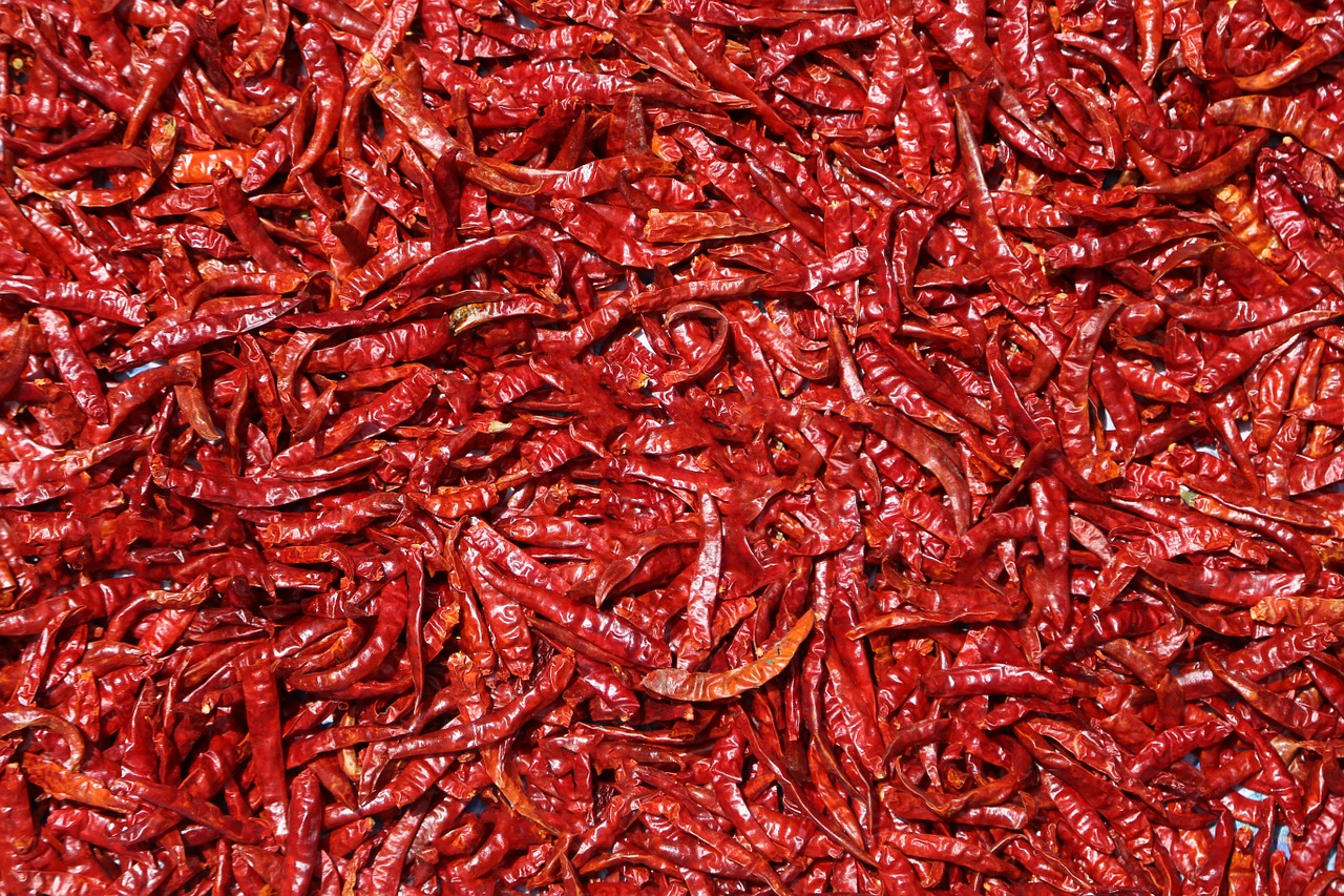 chilli spices dry free photo
