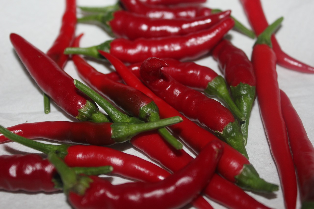 chilli peppers red free photo