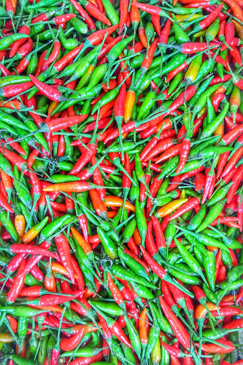 chilli vegetables spices free photo