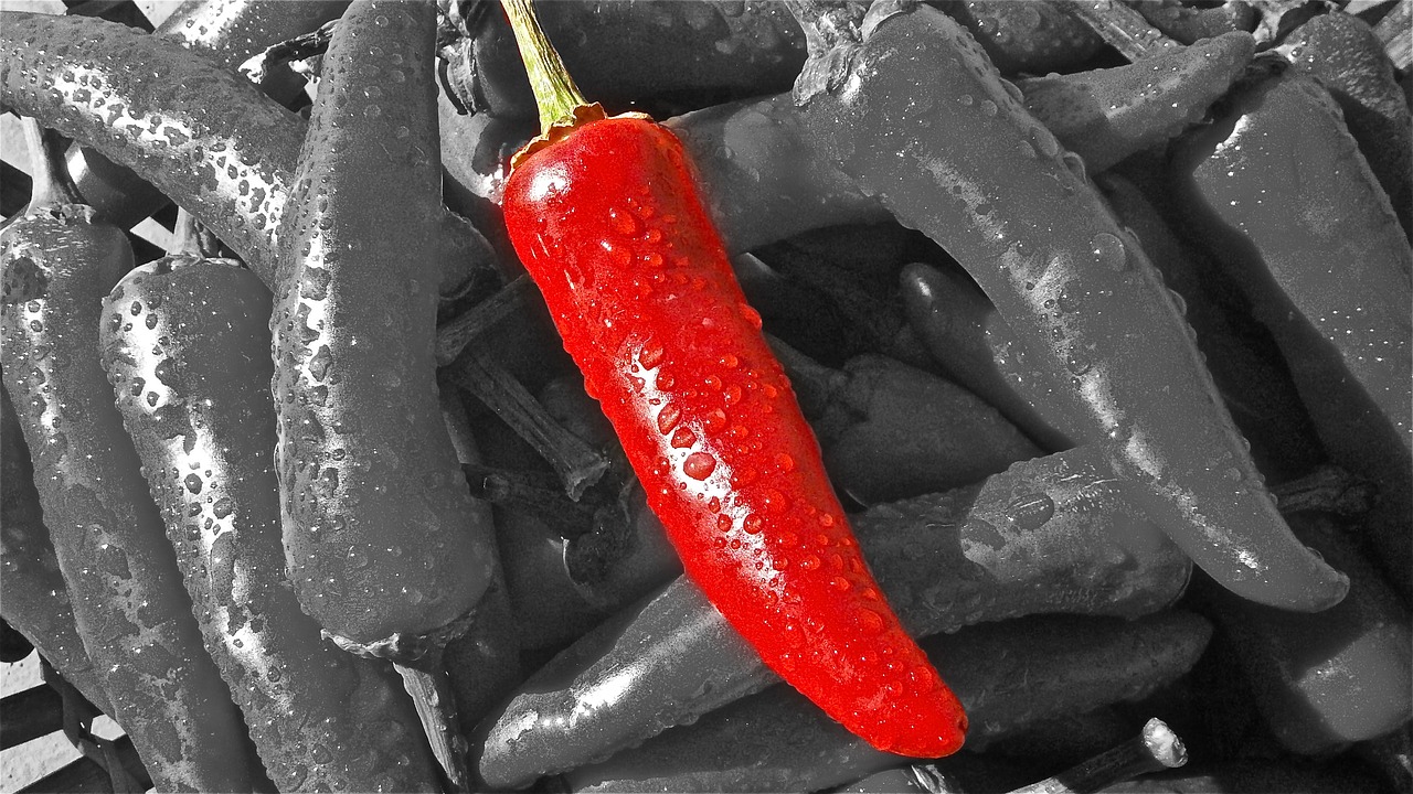 chilli pepper heat free photo