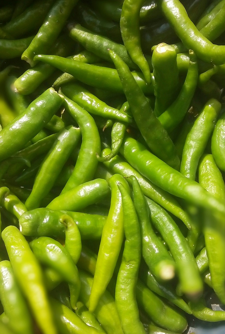 chilli vegetables green free photo