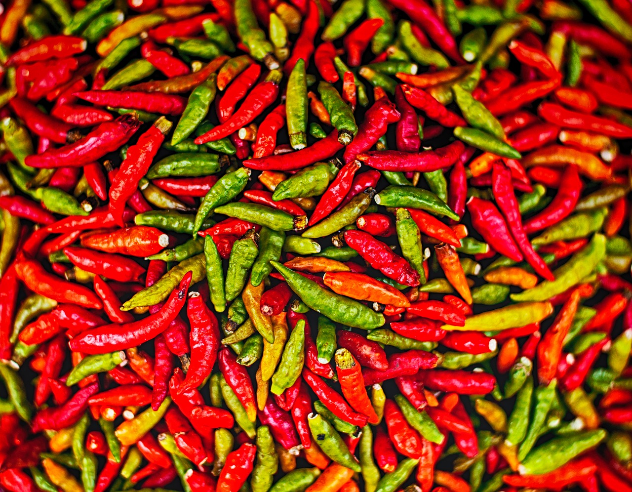 chilli pepper spicy free photo
