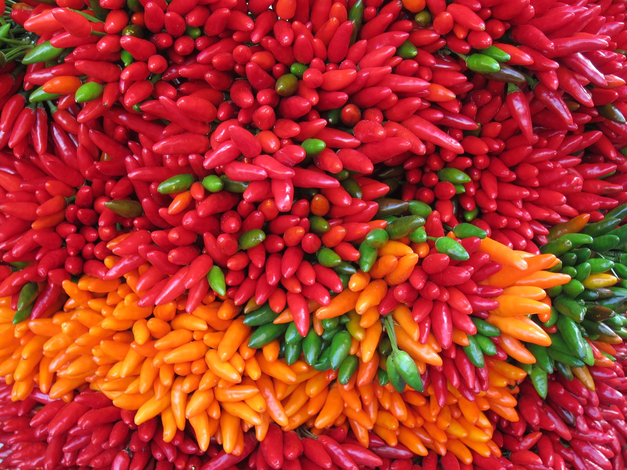 chilli pepper sharp fiery free photo