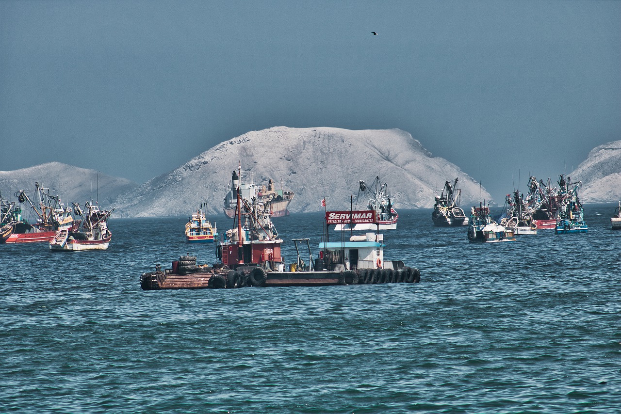 chimbote  peru  beach free photo