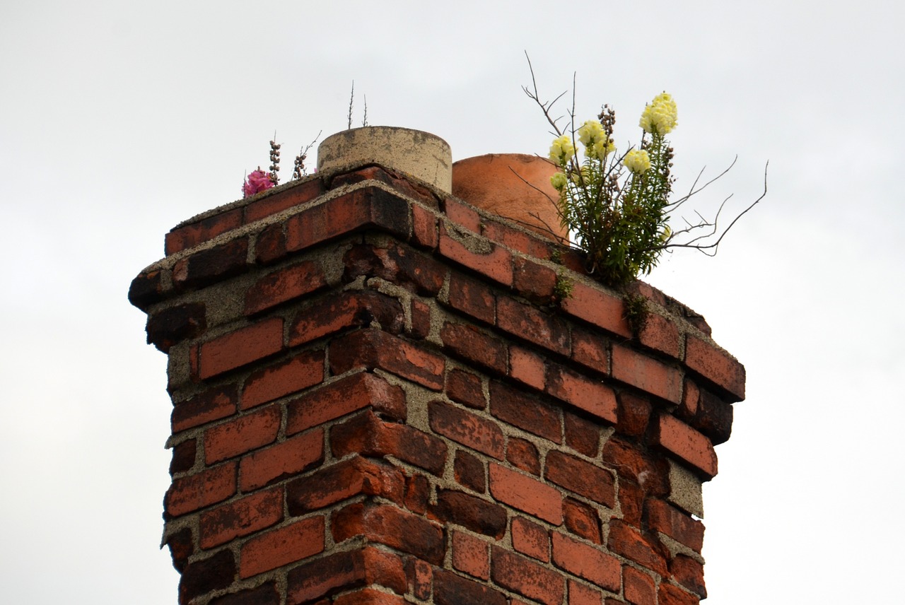 chimney flowers fireplace free photo