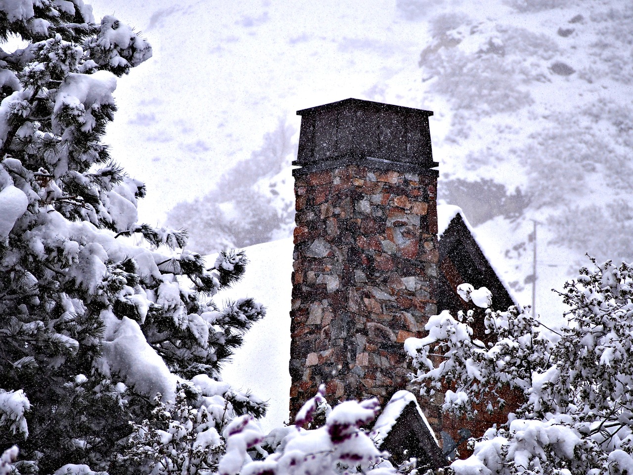 chimney house trees free photo