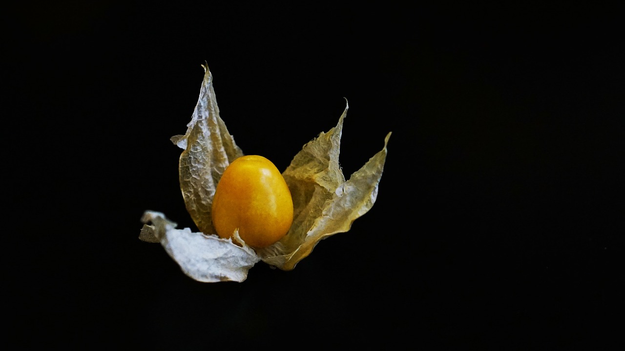 china fruit gourmet free photo