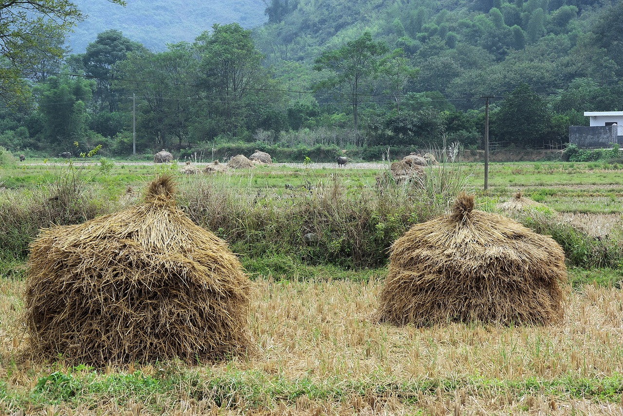 china yangshuo landscape free photo