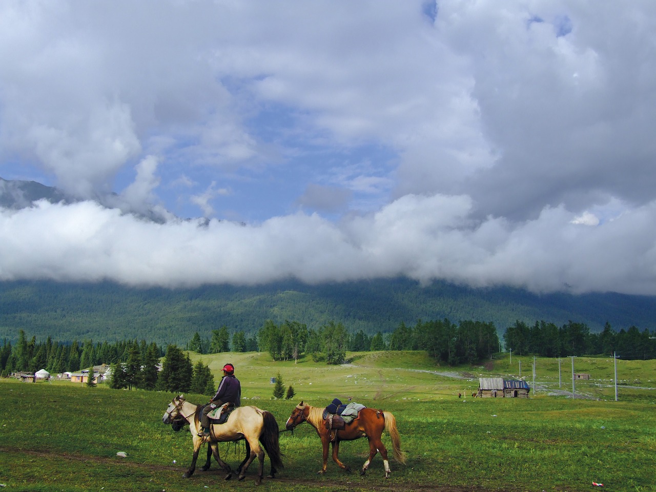 china xinjiang herdsmen transition the scenery free photo