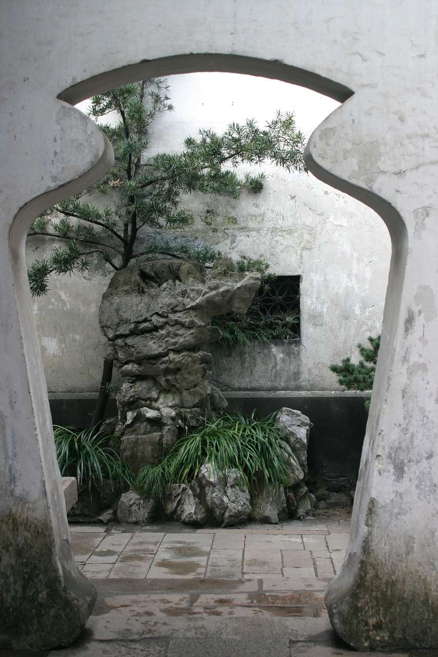 china bonsai garden free photo