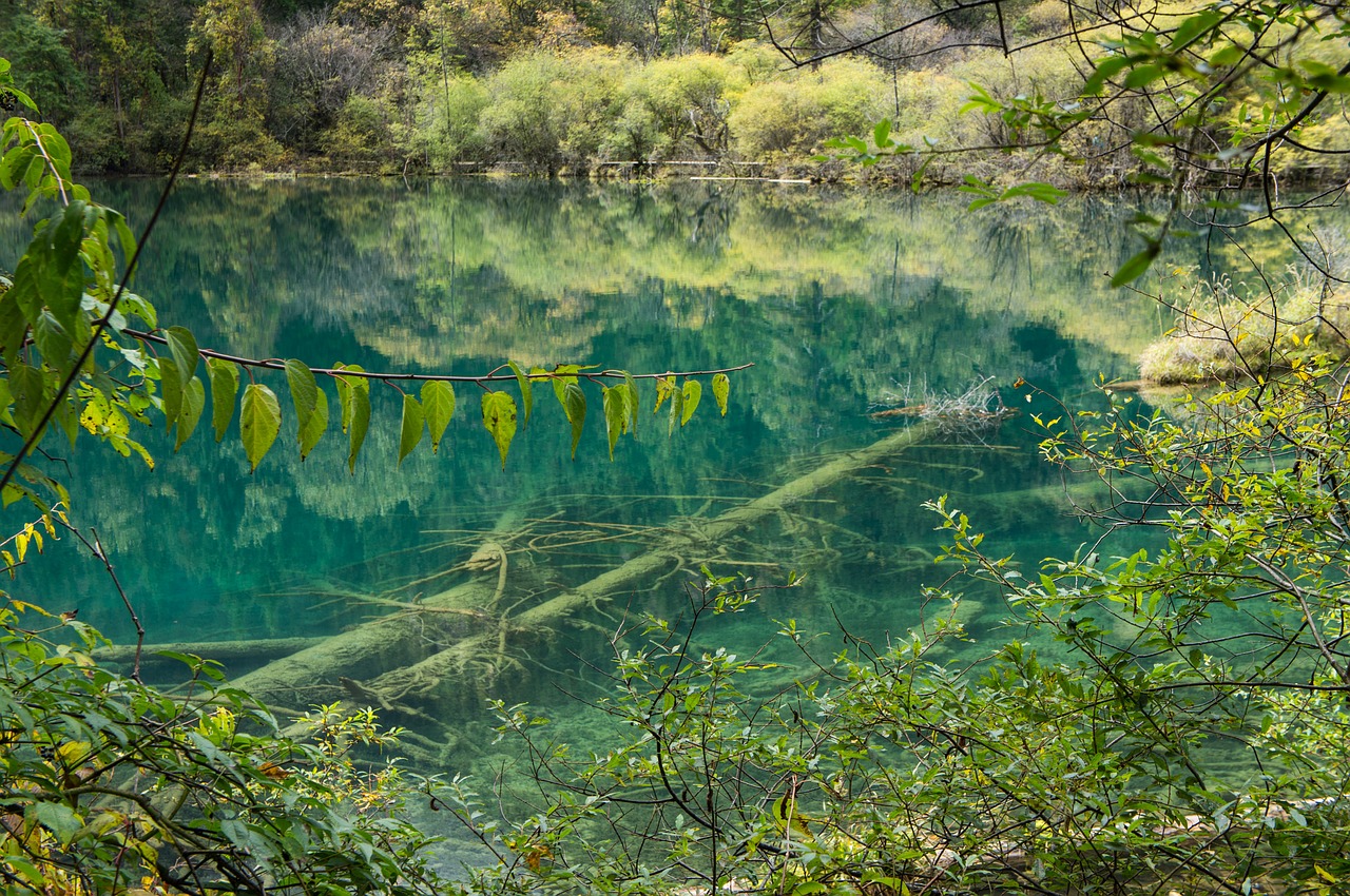 china national park jiuzhaigou free photo