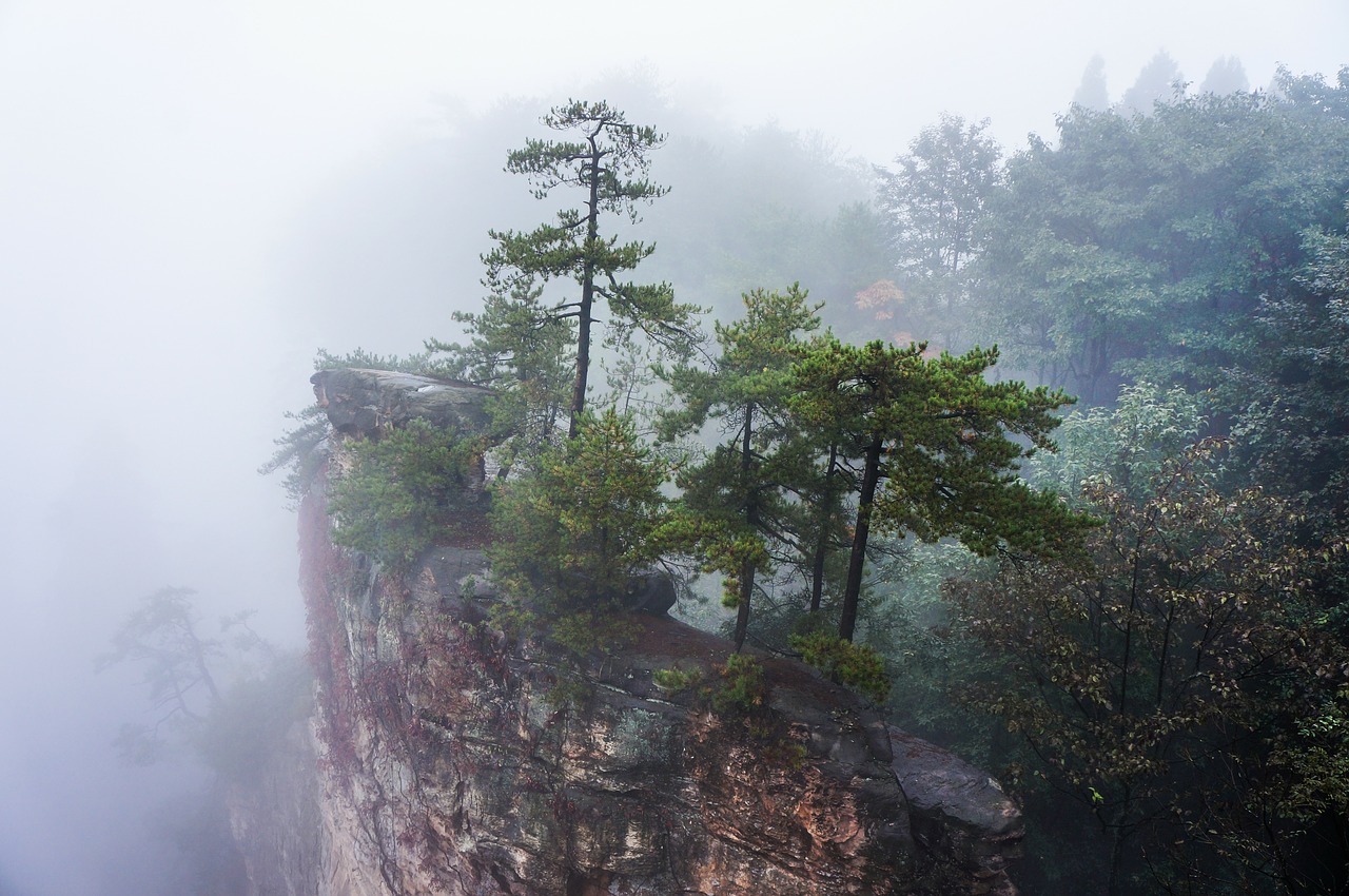 china zhangjiajie national park fog free photo