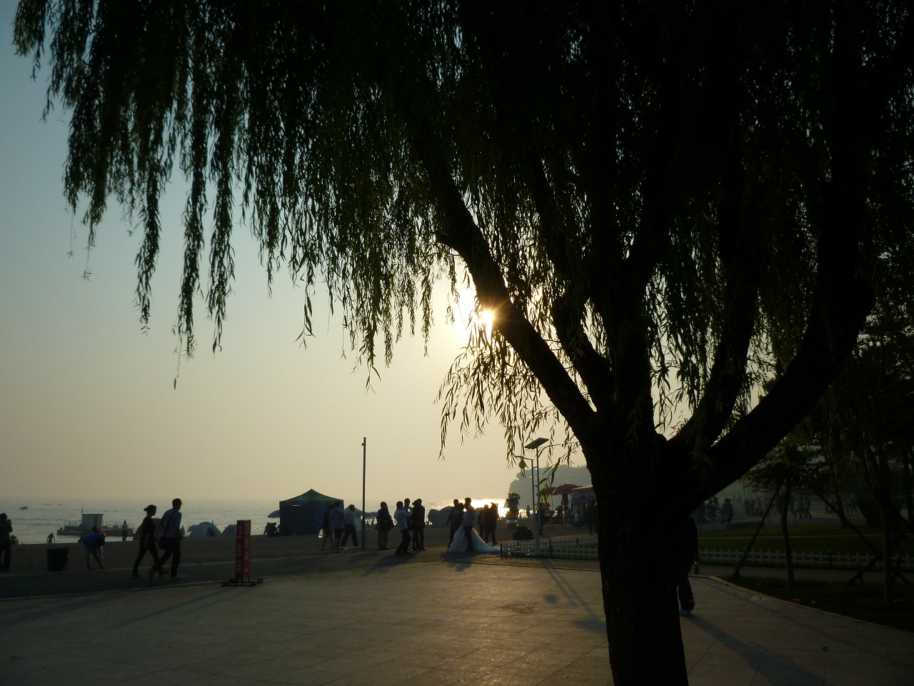 china dalian evening sunset free photo