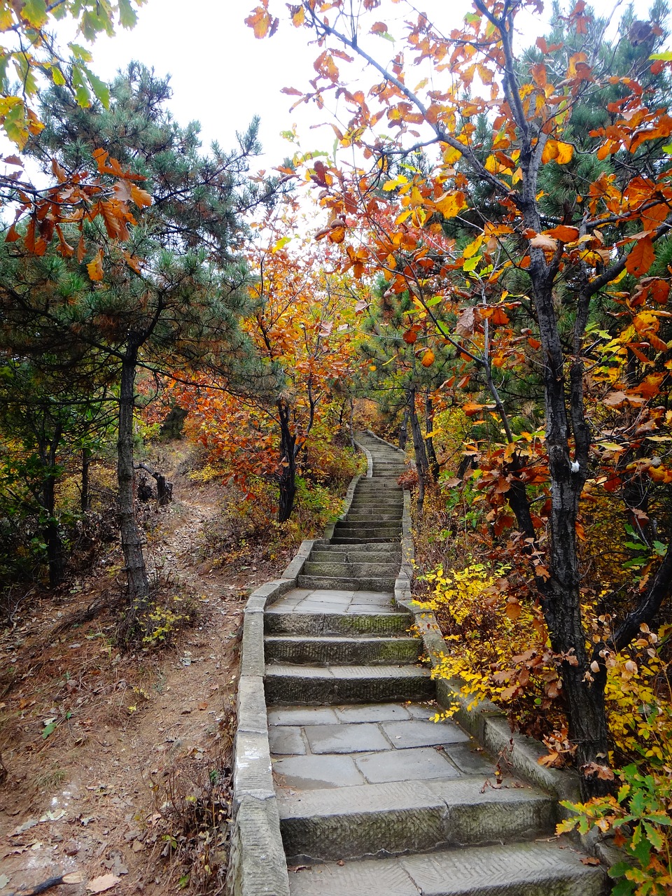 china stairs autumn free photo