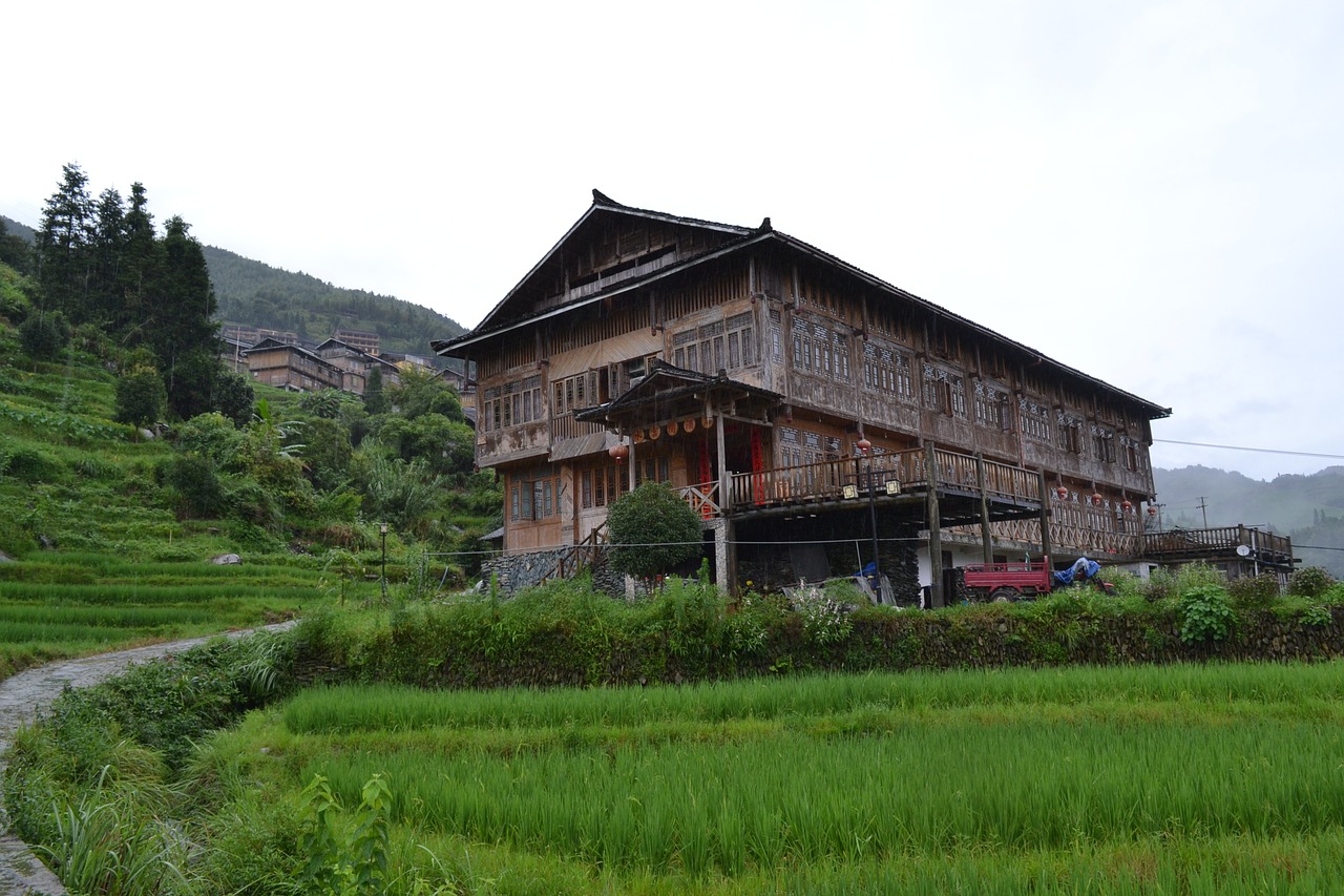 china travel rice terrace free photo