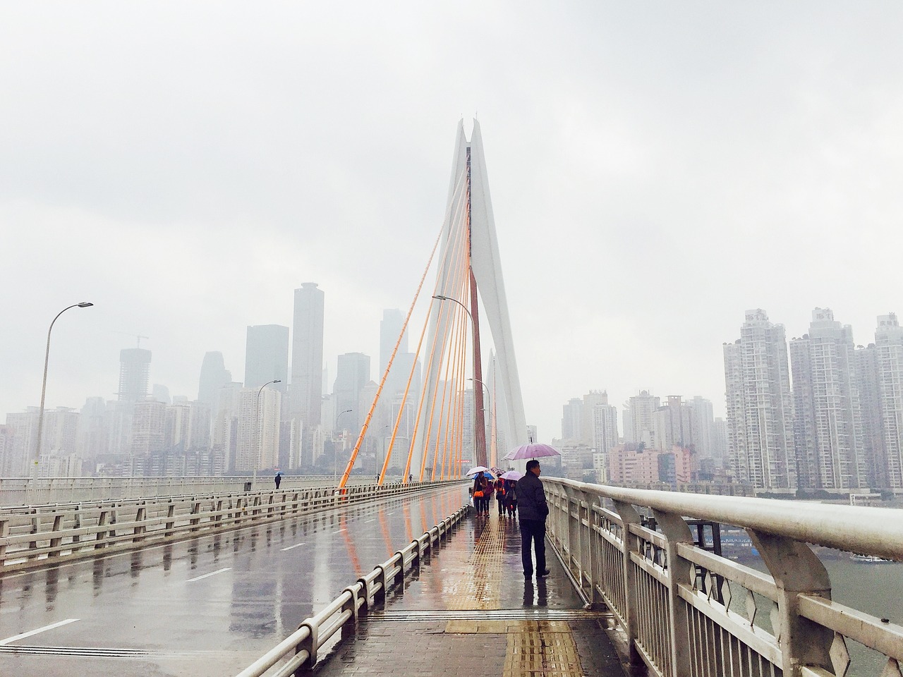 china chongqing bridge free photo