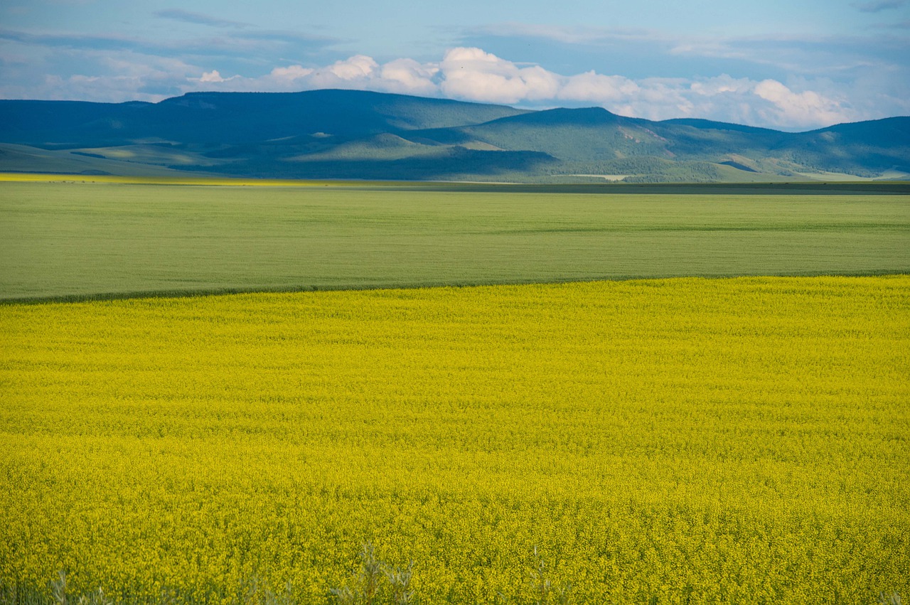 china  inner mongolia  scenery free photo