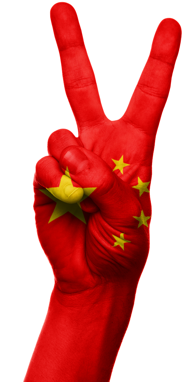 china flag hand free photo