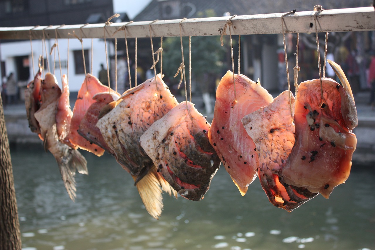 china fish market free photo