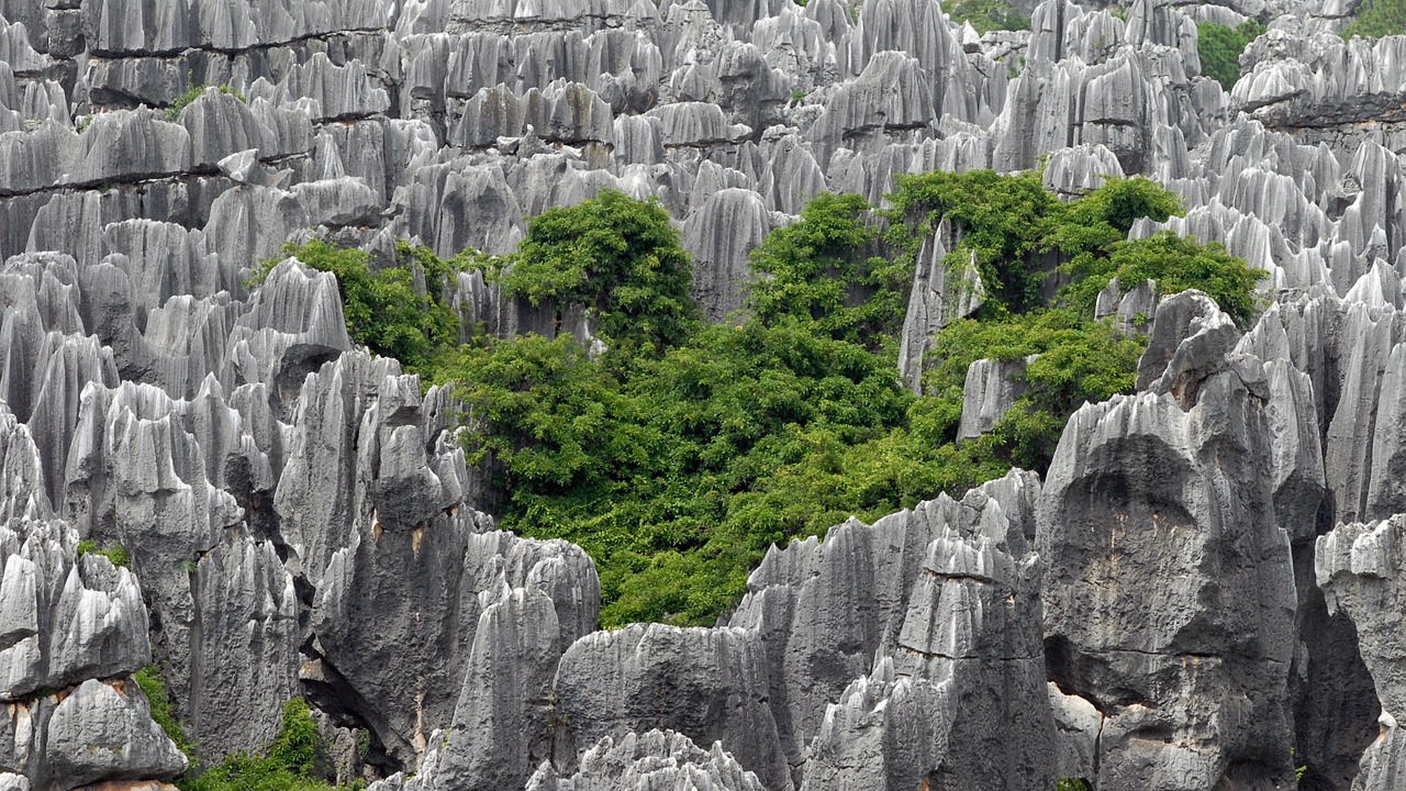 china kunming stone forest free photo