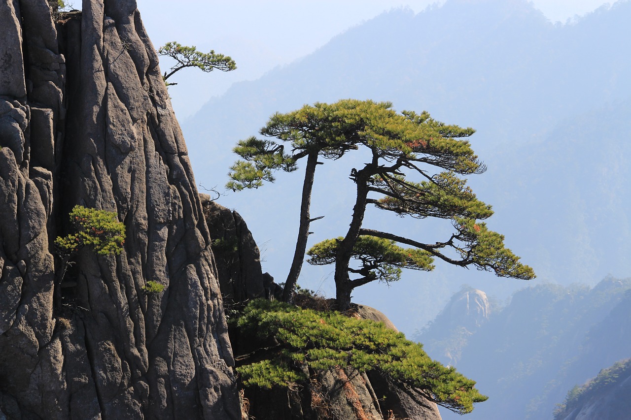 china huangshan mountain free photo