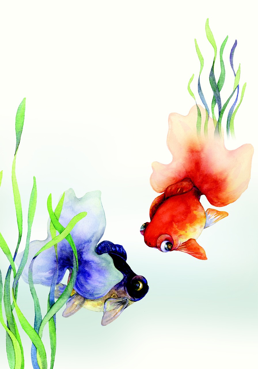 china wind illustration goldfish free photo