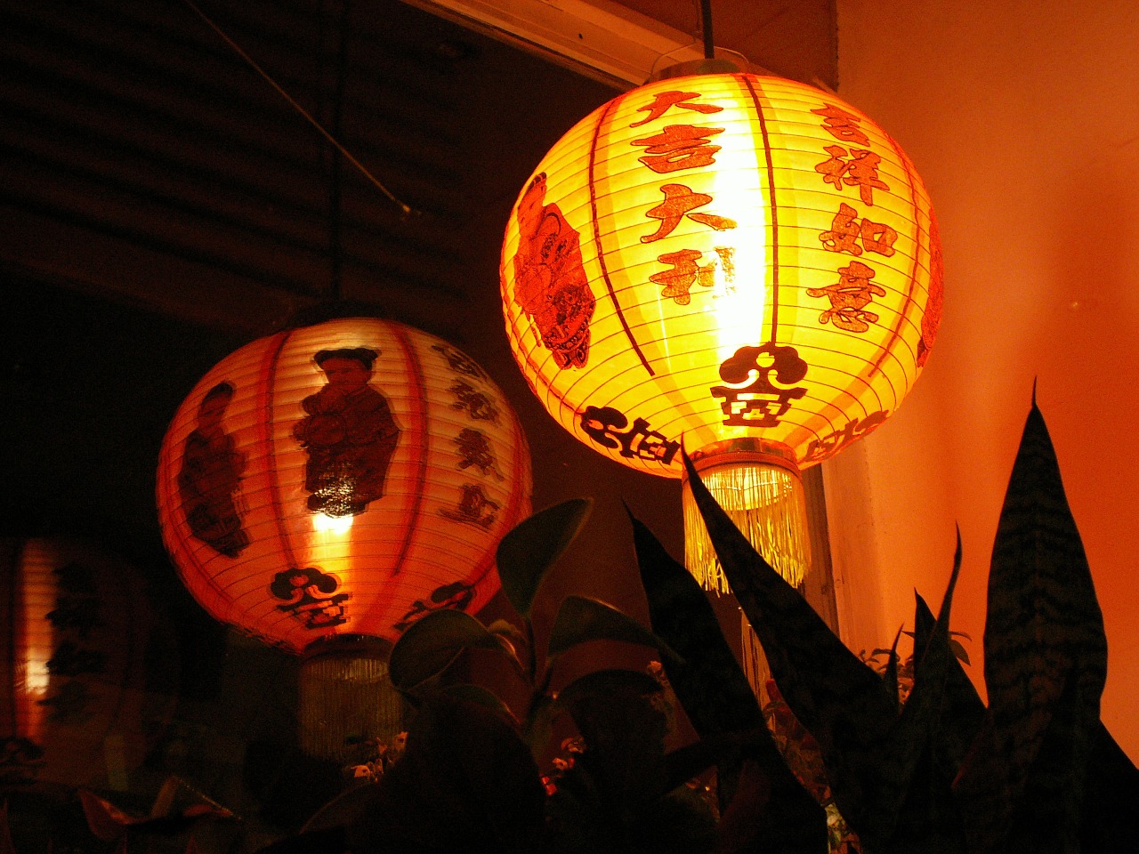 chinese china lantern free photo