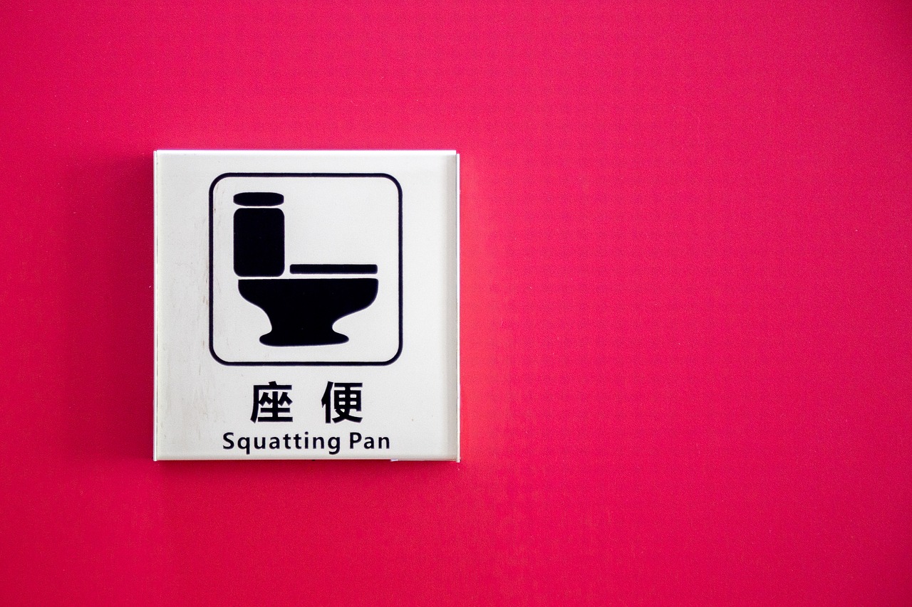 chinese toilet sign free photo