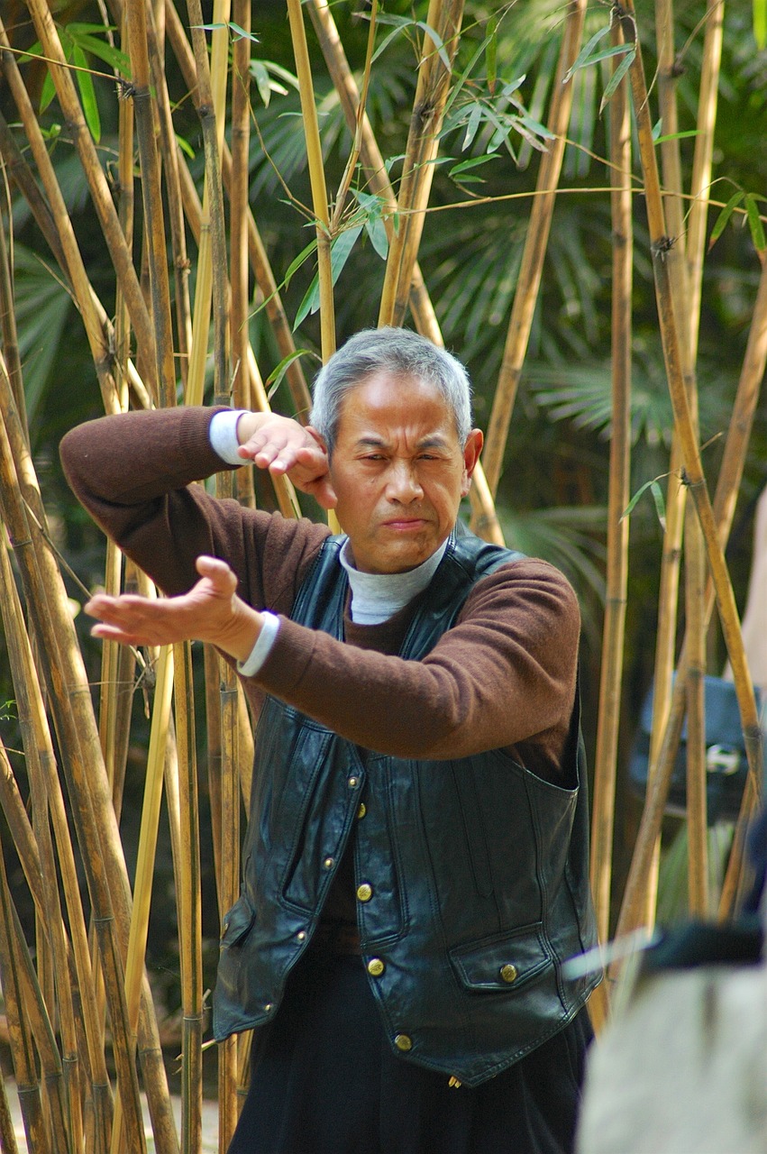 chinese chinese man martial arts free photo
