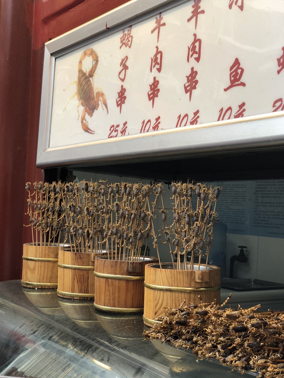 chinese  food  scorpions free photo