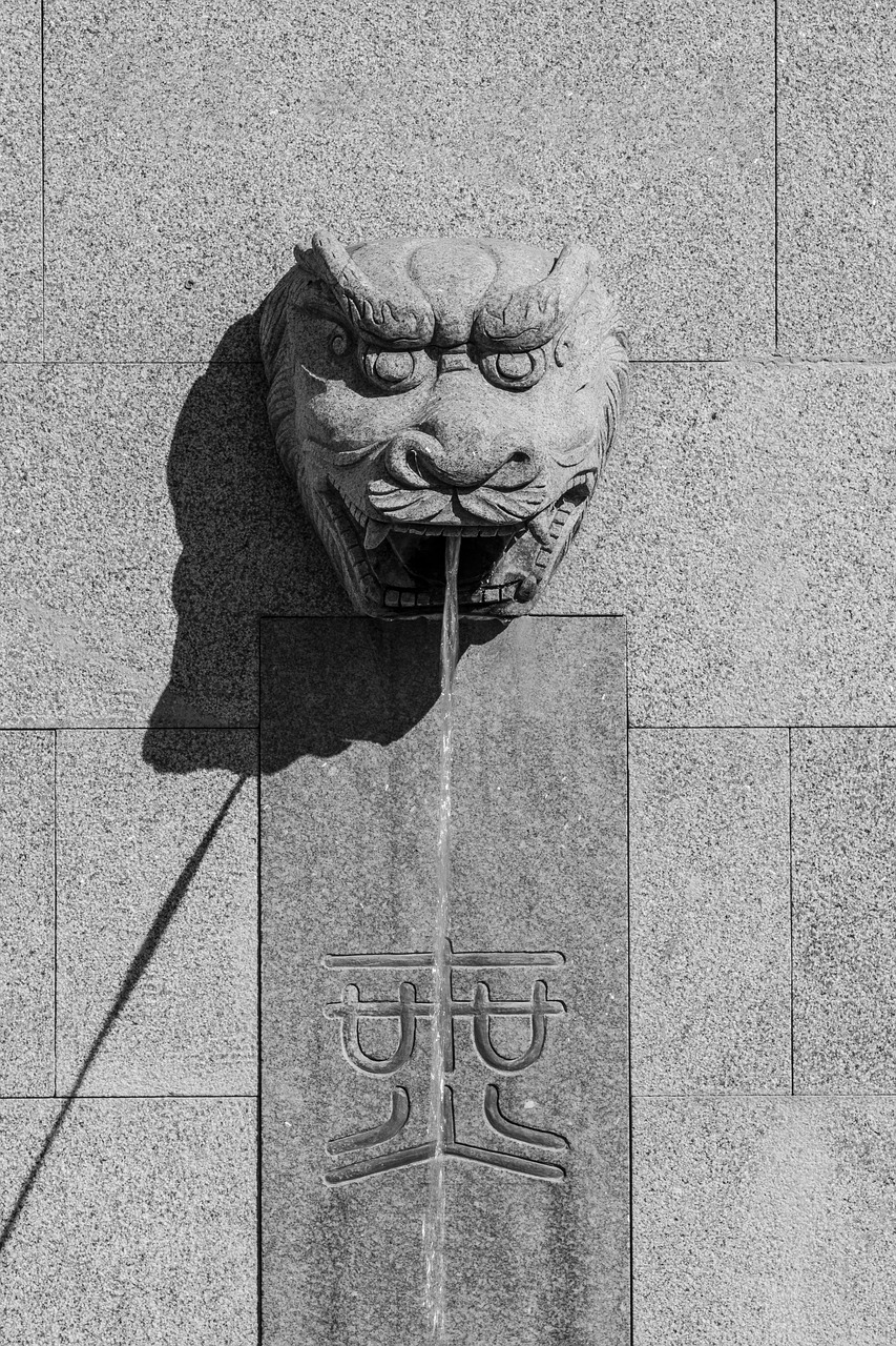 chinese  fountain  dragon free photo