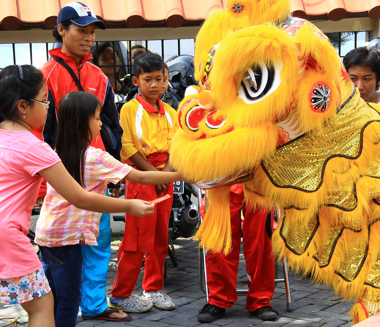 chinese new year celebration free photo