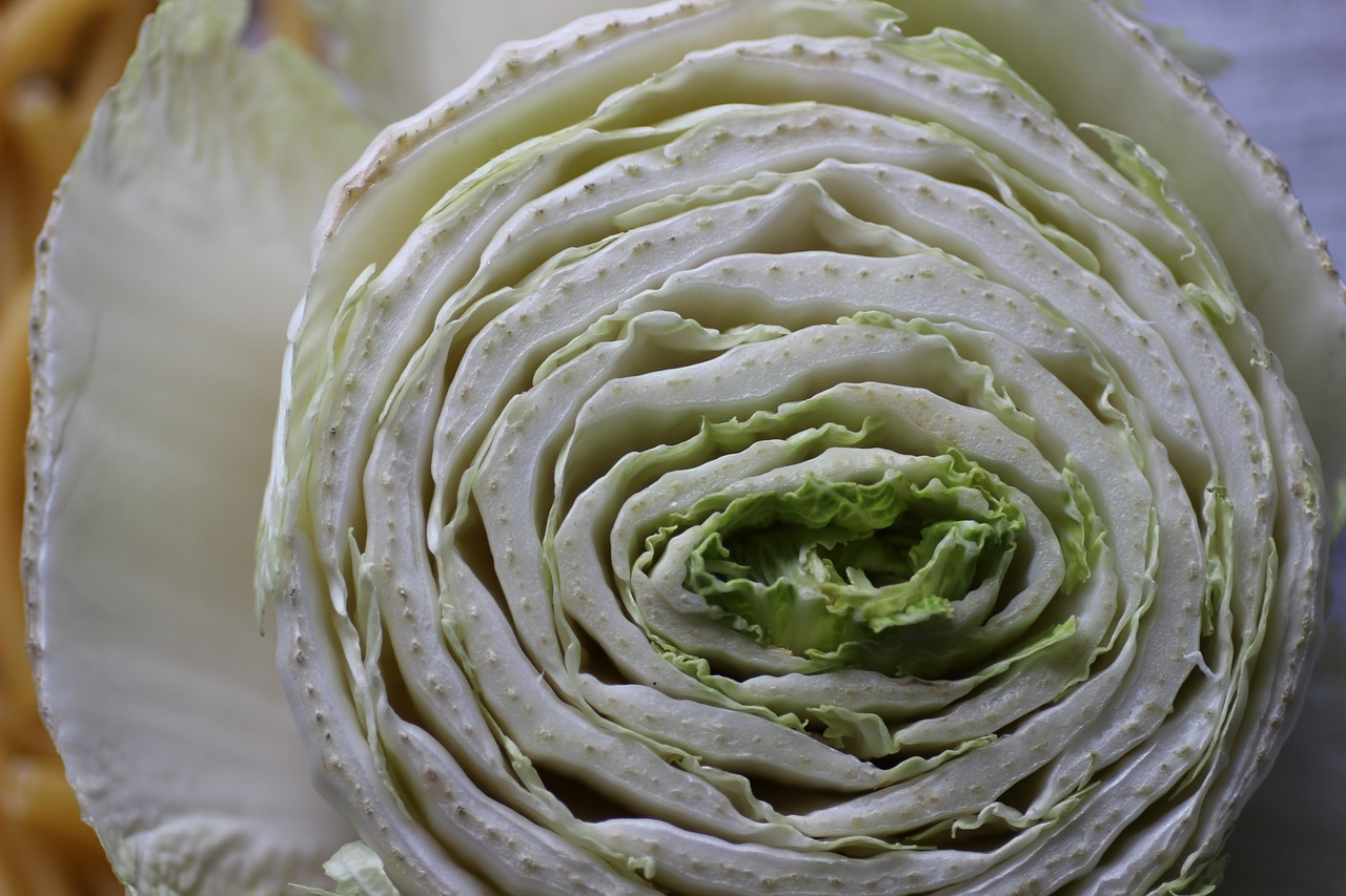 chinese cabbage cross section winter vegetables free photo