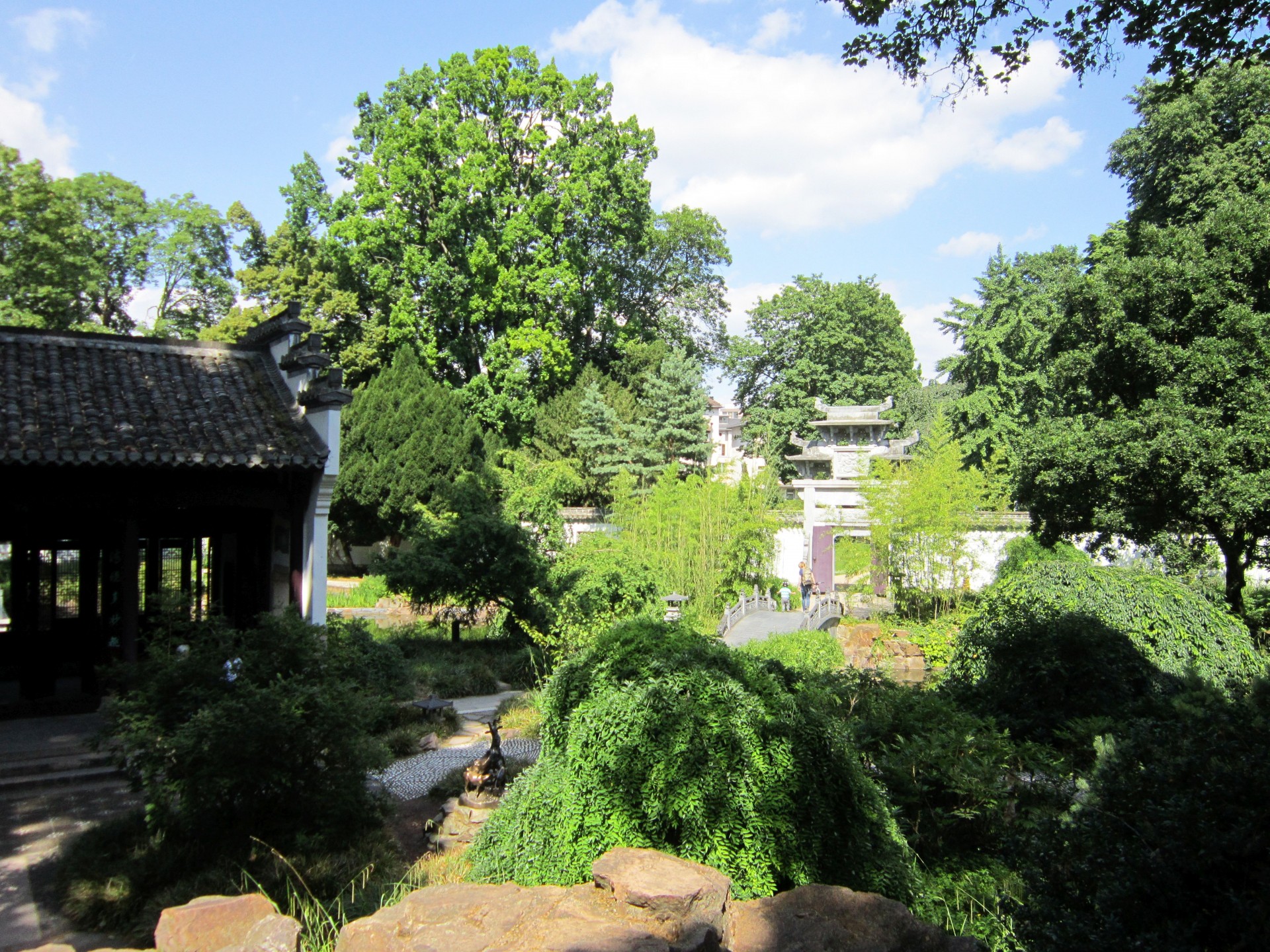 chinese garden frankfurt free photo