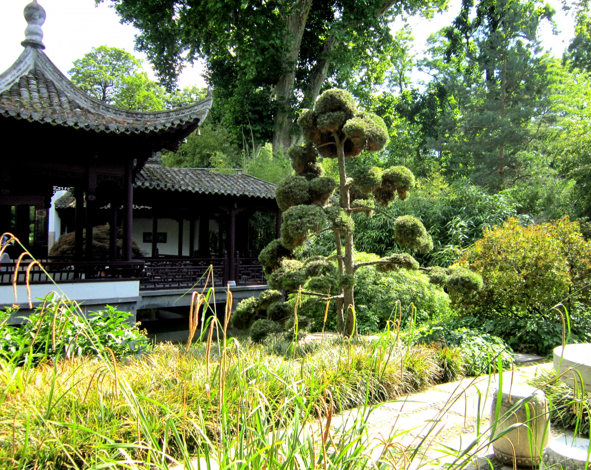 chinese garden heavenly free photo