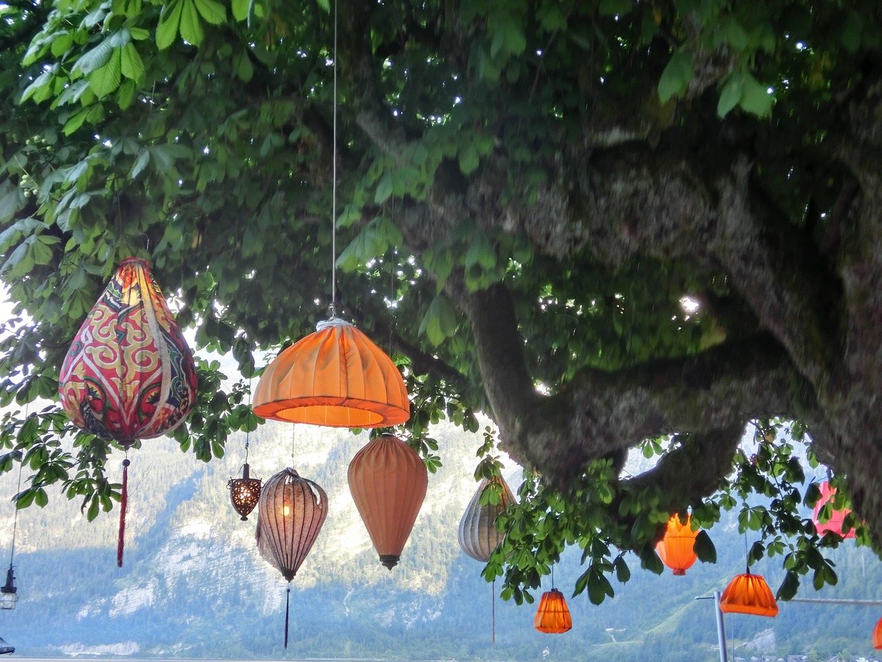 chinese lanterns lamps tree free photo