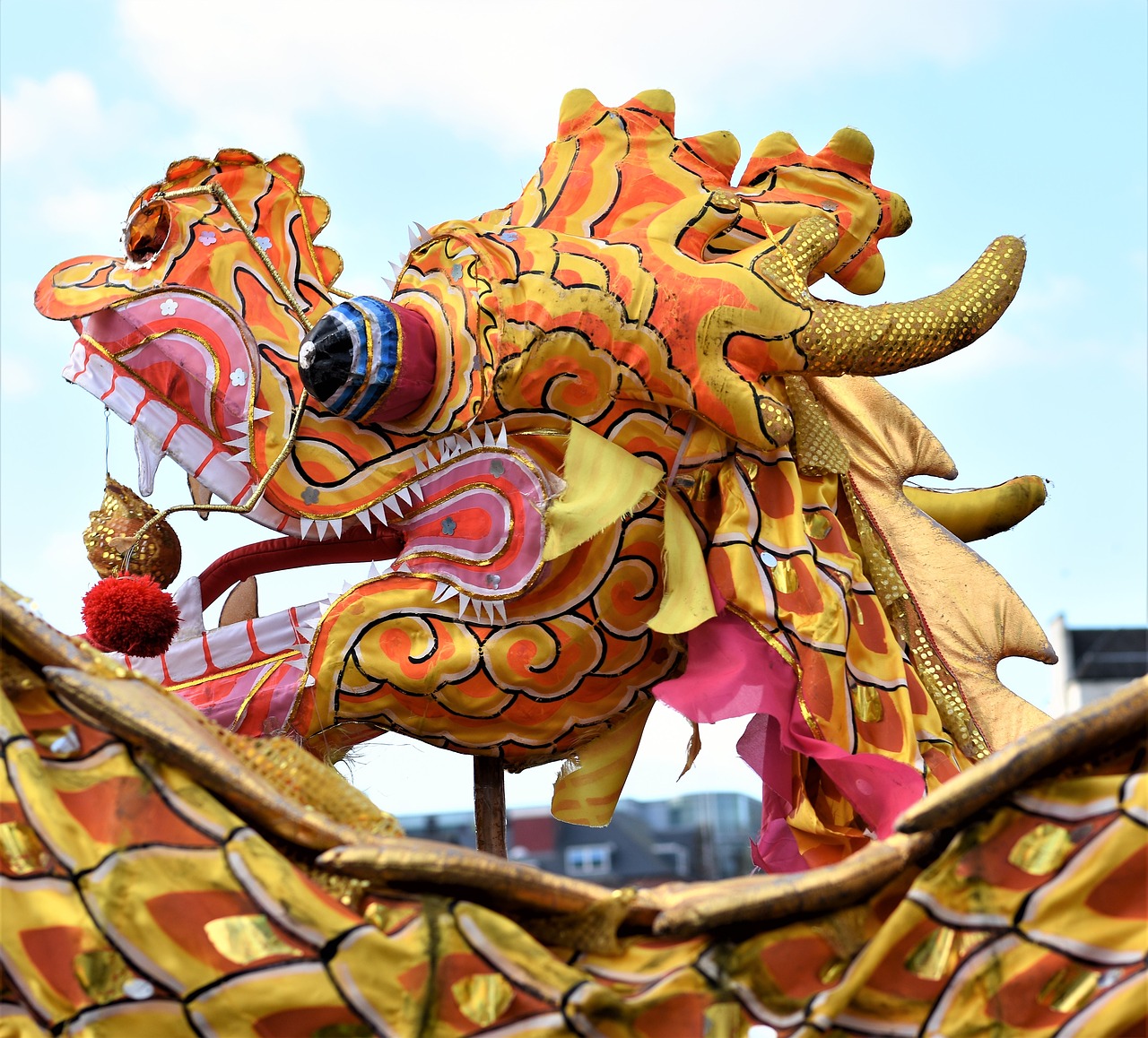 chinese new year  dragon  lion free photo