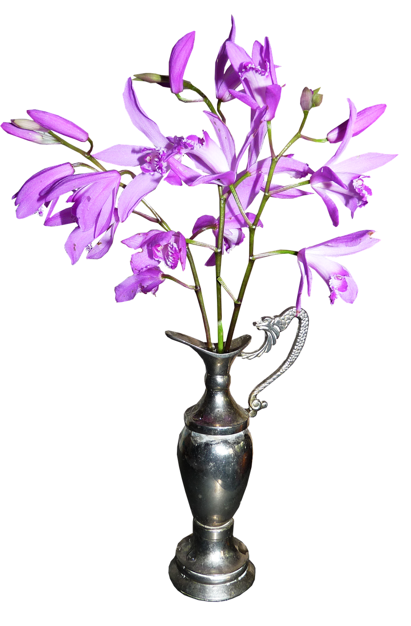 chinese orchids vase spring free photo