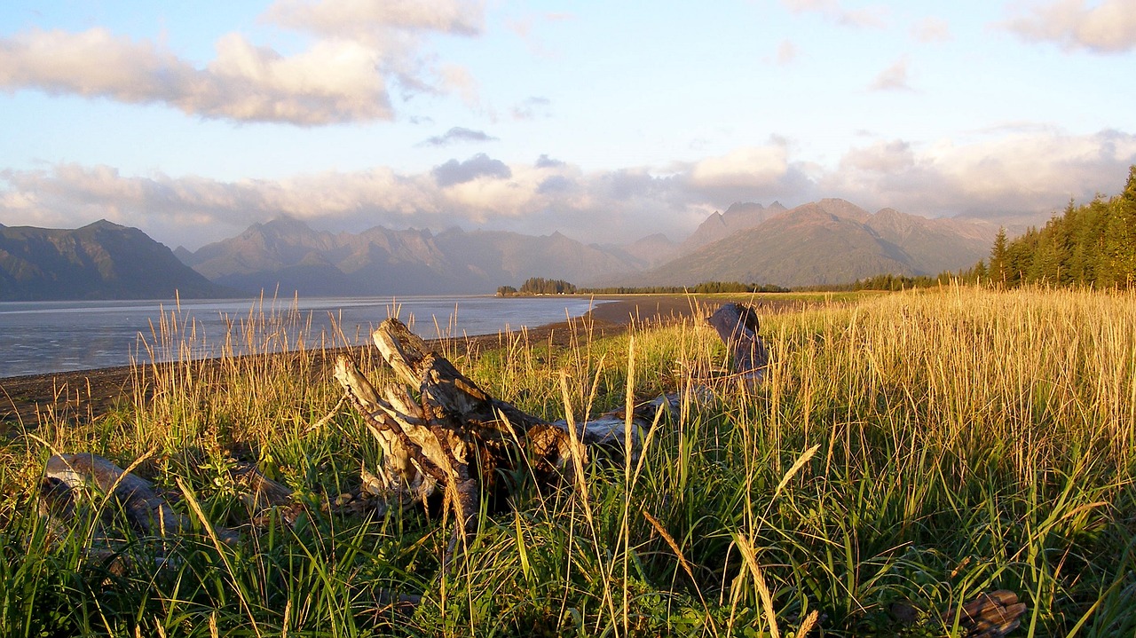 chinitna bay lake clark national park preserve free photo