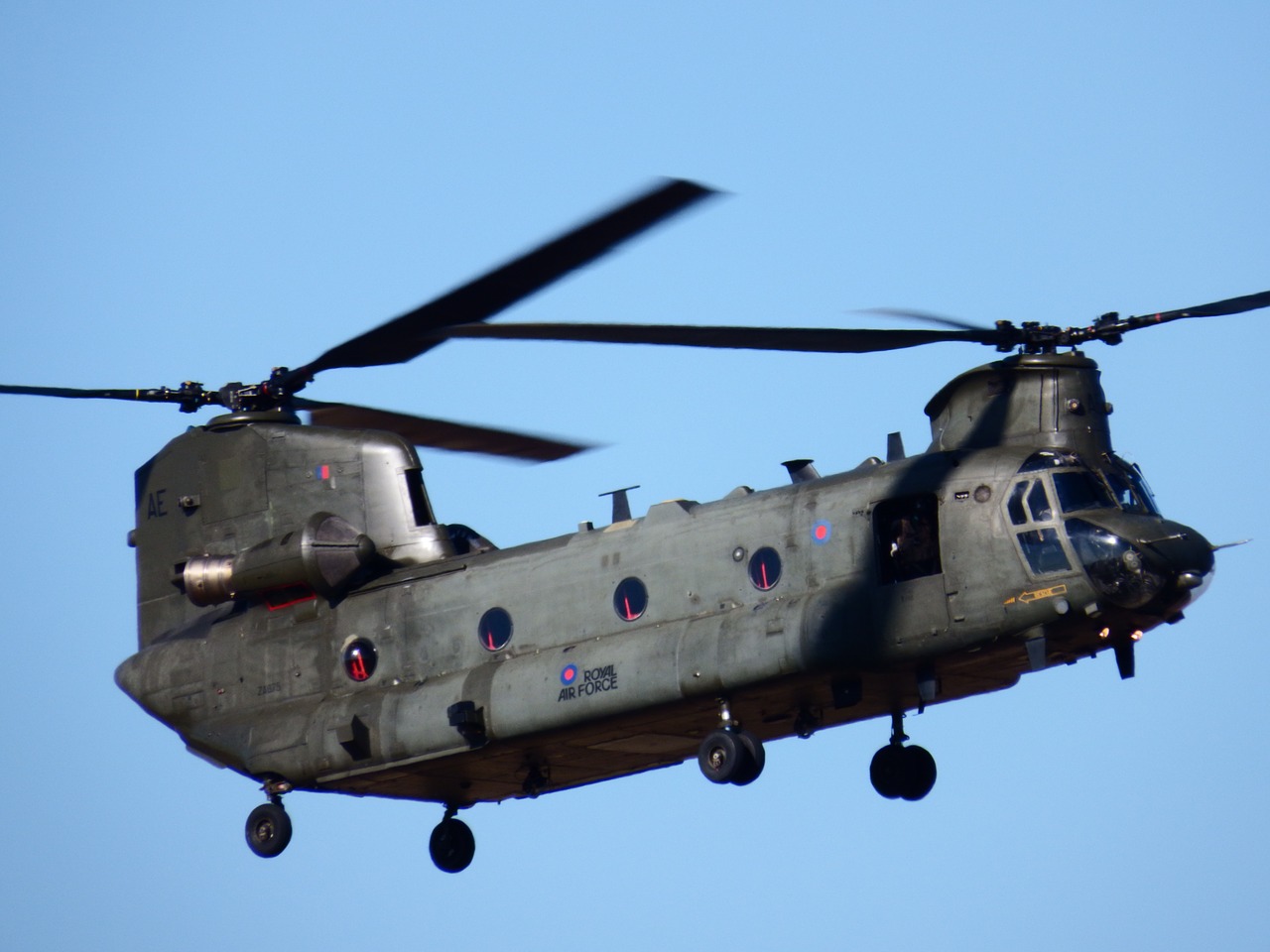 chinook helicopter army free photo