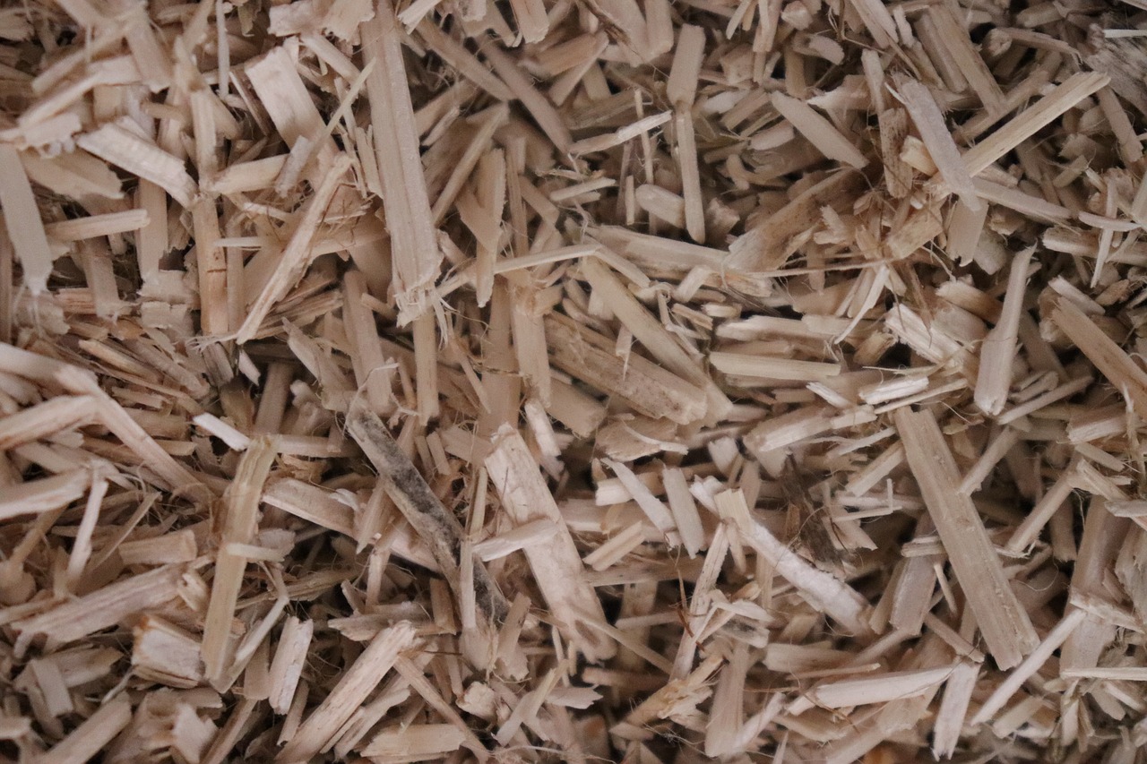 chip wood  wood  litter free photo