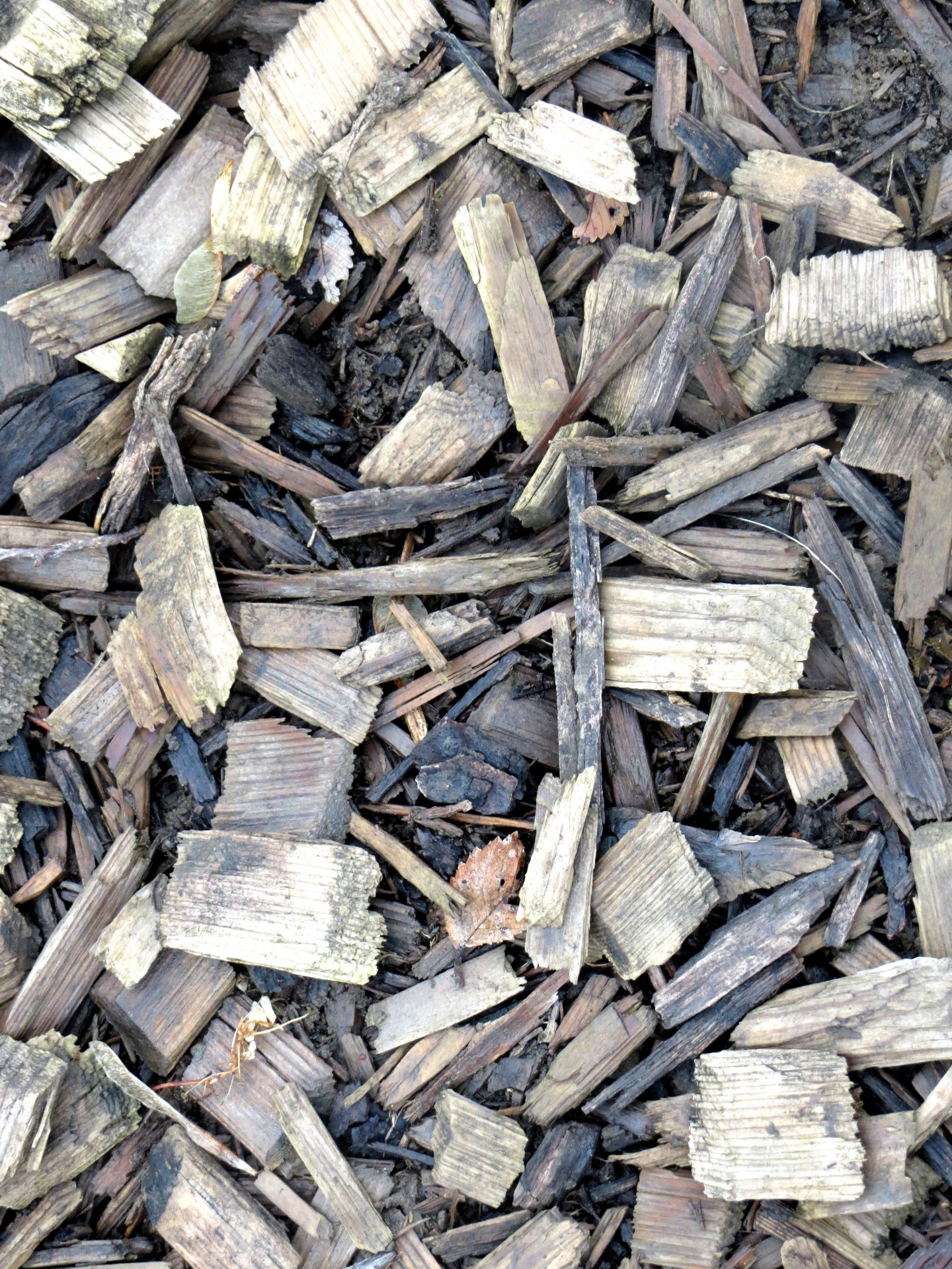 mulch wood chipped free photo