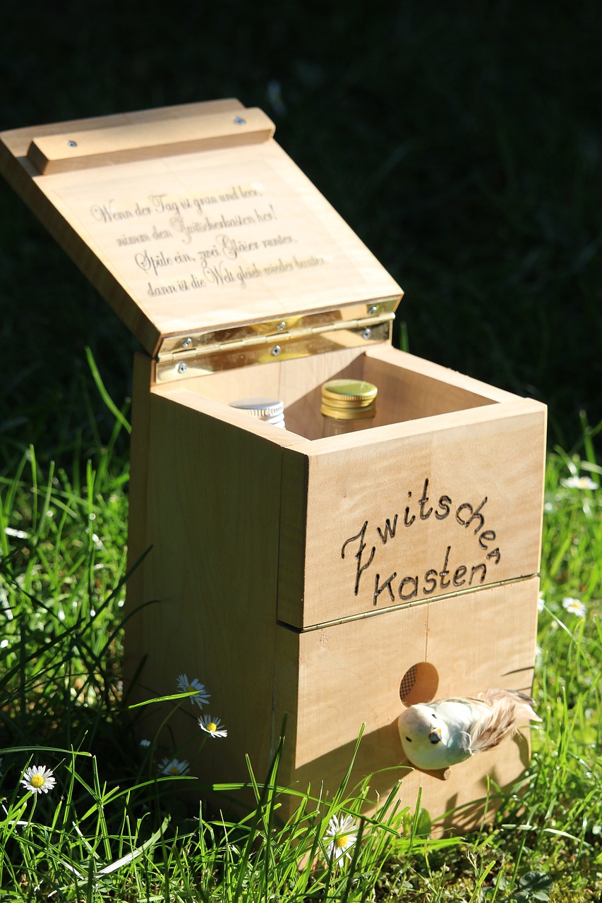 chirping box aviary wood free photo