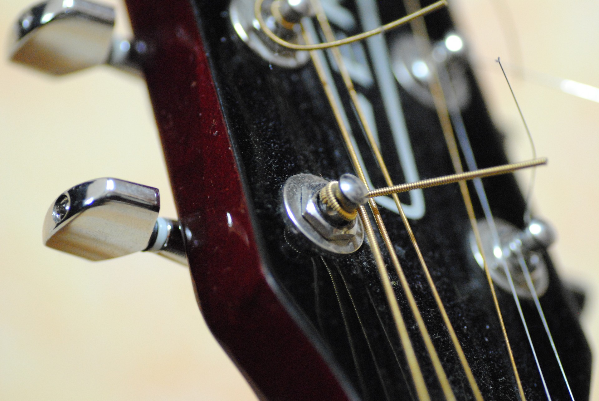 guitar close up instrument free photo