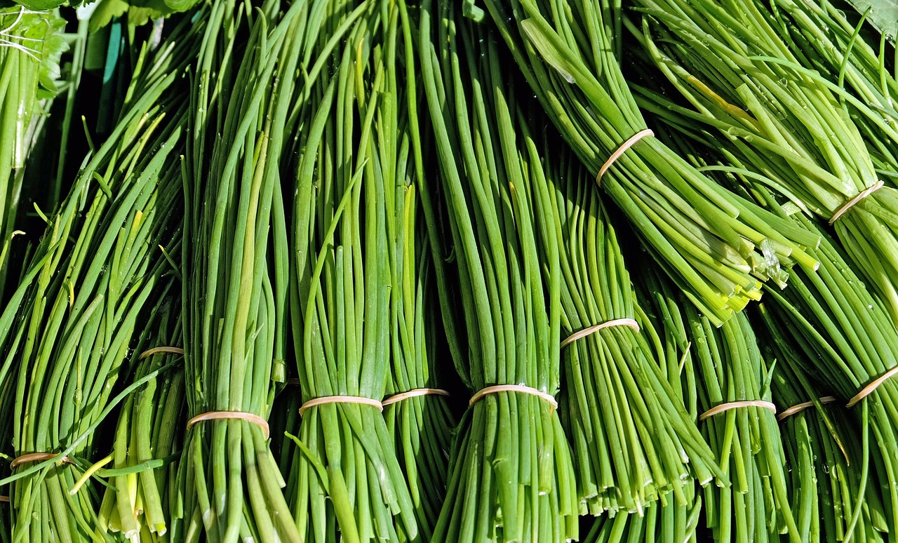 chives herbs culinary herbs free photo