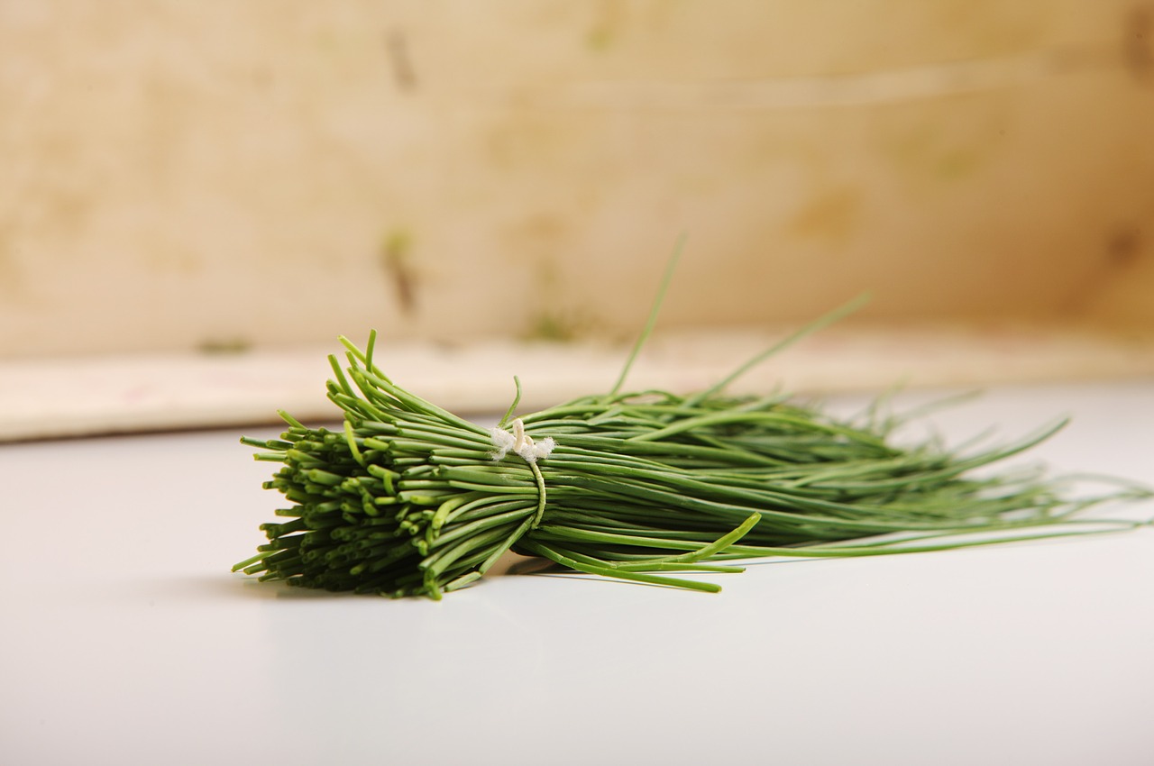 chives green gourmet free photo