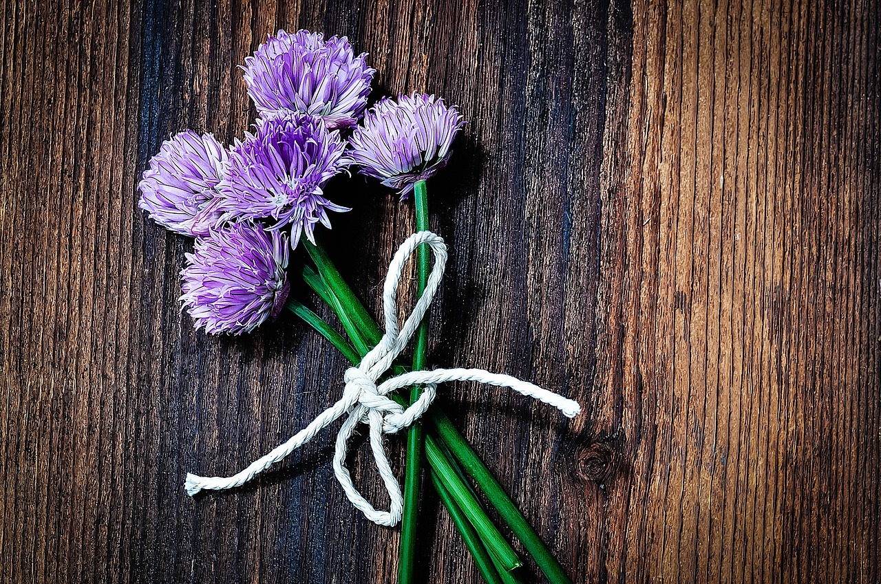 chives flowers chive flowers free photo
