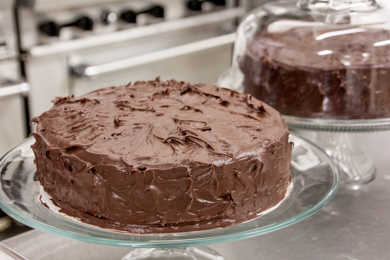 chocolate cake dessert free photo